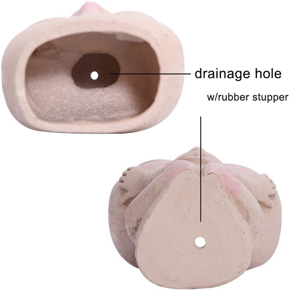 Chậu Gốm Trồng Cây Mọng Nước Để Bàn Trang Trí Nội Thất