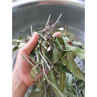 Lá xông khô giải cảm (gói 100gr)