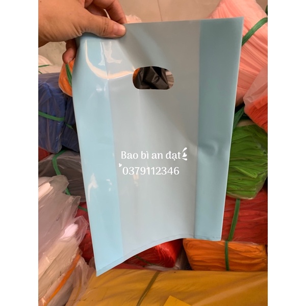 1KG Túi Hột xoài PE Xanh  Pastel