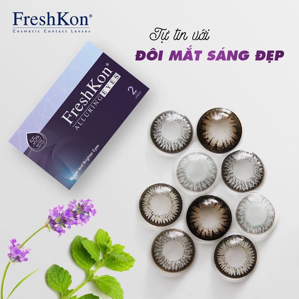 Kính giãn tròng 3 tháng Freshkon Alluring Eyes màu Winsome Brown từ 0.00 độ đến -9.00 độ- tặng khay