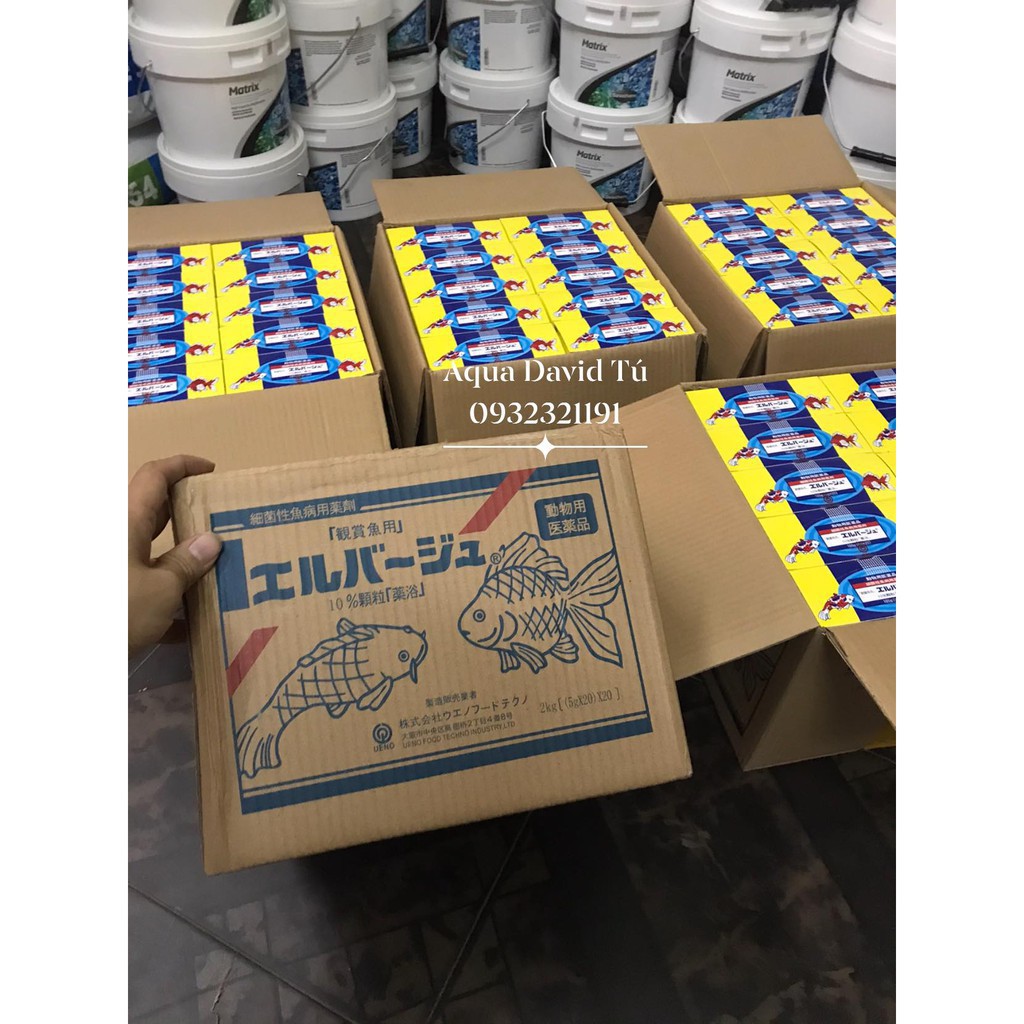 1 Hộp Tetra NHẬT - SẢN PHẨM HỖ TRỢ CÁ KHỎE,Dưỡng Cá Khi Mới Vận Chuyển,Thay Đổi Thời Tiết
