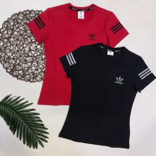 Áo thun đục lỗ laze(giao màu ngẫu nhiên)