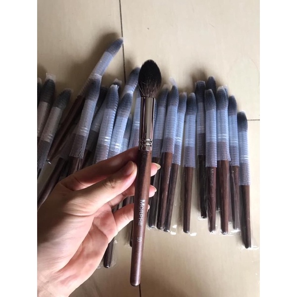 Cọ lẻ morphe