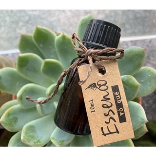ESSENOO - TINH DẦU TRỊ LIỆU VIETHERB