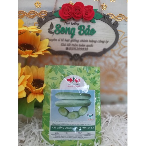 Hạt giống dưa leo lai F1 Hunter 1.0 Hai Mũi tên Đỏ gói 10g