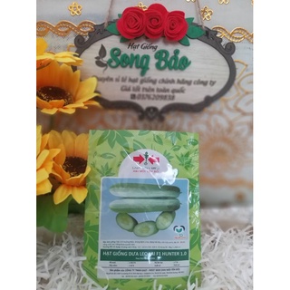 Hạt giống dưa leo lai f1 hunter 1.0 hai mũi tên đỏ gói 10g