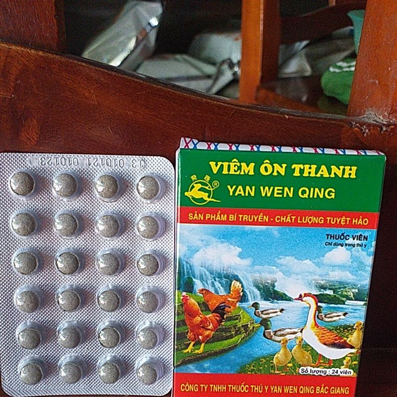 viêm ôn thanh, cho gia súc gia cầm gà đá, chim cảnh, chó mèo, thú cưng, lợn gà
