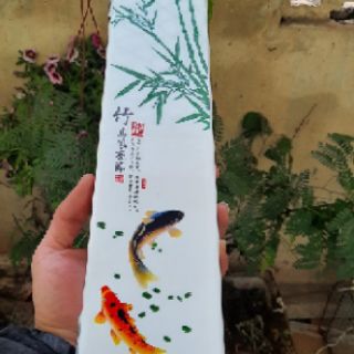Hộp phao daiwa 3 ngăn