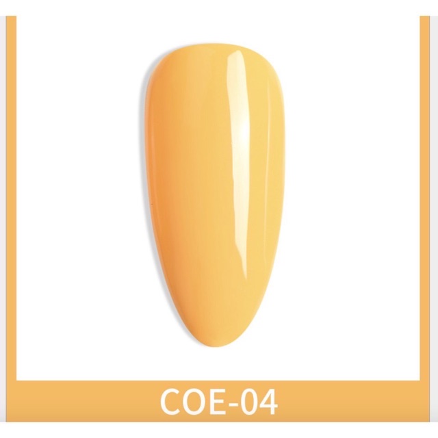 Sét sơn vàng as nắp nhọn cao cấp ( có bán lẻ )