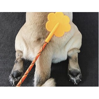 Cây tét đít huấn luyện chó mèo