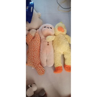 Gấu gấu bông bông