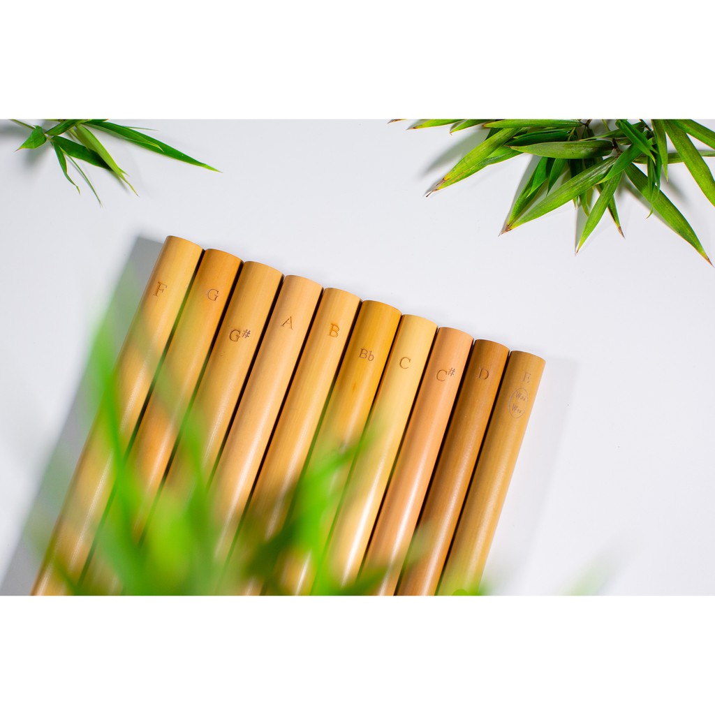 Sáo Trúc Mão Mèo HD2 🎁FREESHIP🎁 Giảm Giá 20K Khi Nhập  Sáo Trúc Mão Mèo Chính Hãng