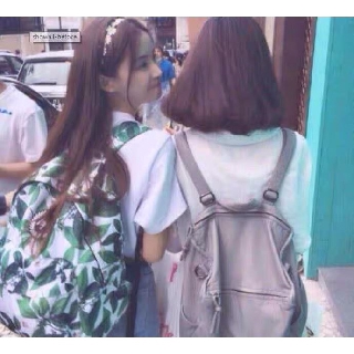 băng đô cúc họa mi