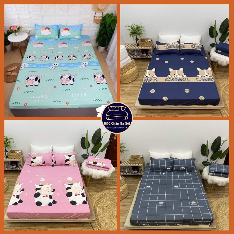 [Quà tặng đơn từ 50k] Ga giường - Drap nệm cotton poly B&C full mẫu đủ size | BigBuy360 - bigbuy360.vn