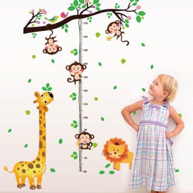 Decal đo chiều cao khỉ đu dây