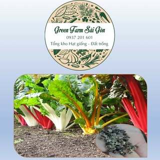 Hạt giống Cải Cầu vồng Mỹ (50Hạt) - Tỷ lệ nảy mầm cao [Siêu Rẻ]