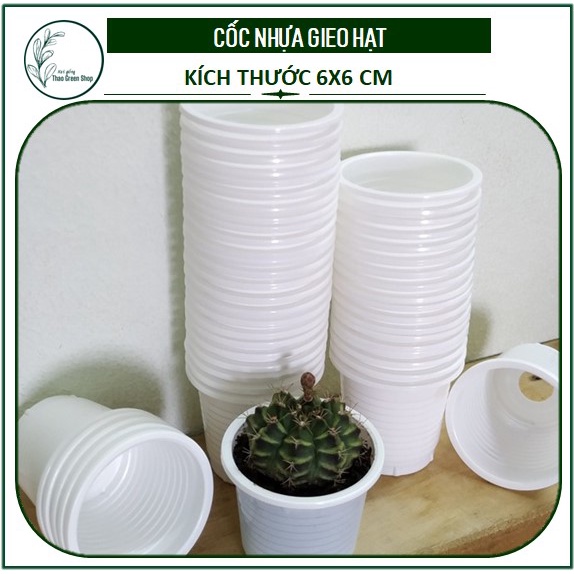Combo 10 cốc nhựa gieo hạt kích thước 6x6