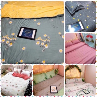 Set chăn ga gối an.nhien28