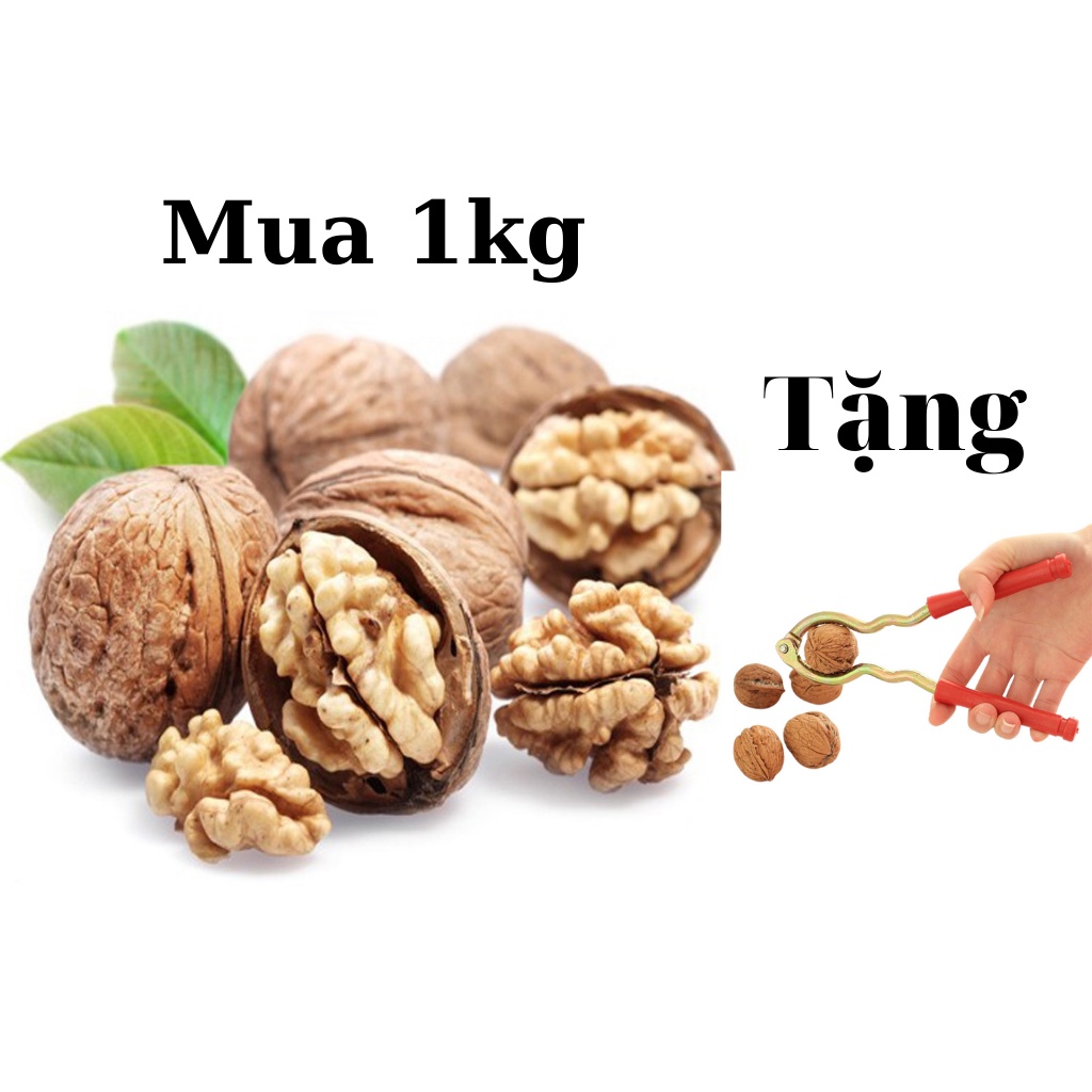 Hạt óc chó vàng nguyên vỏ sấy khô túi 500g ăn vặt tốt cho mẹ bầu