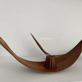 Lá cây khô tự nhiên trang trí decor