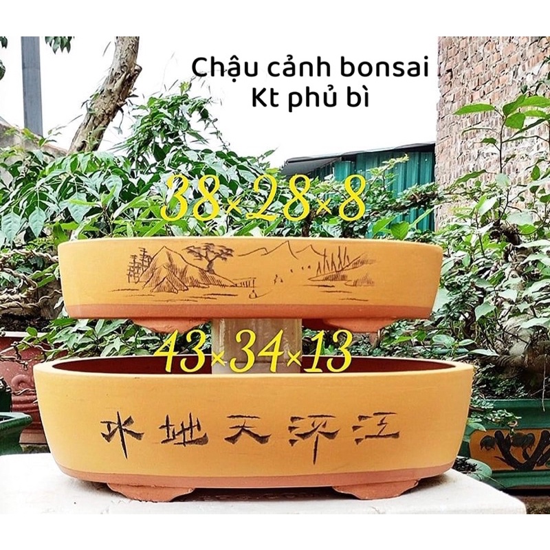 Chậu gốm tàu - chậu trồng cây bonsai ovan
