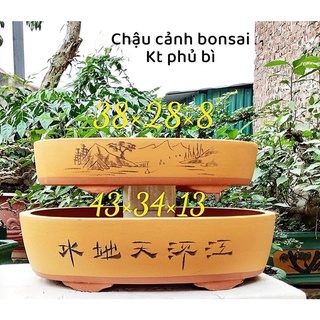 Chậu gốm tàu - chậu trồng cây bonsai ovan