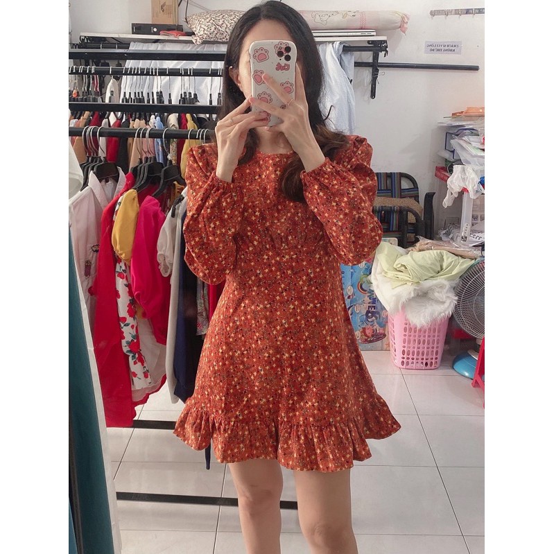 ĐẦM HOA NHÍ CỔ TRÒN CHÂN BÈO