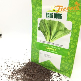 HẠT GIỐNG CẢI BẸ XANH MỠ