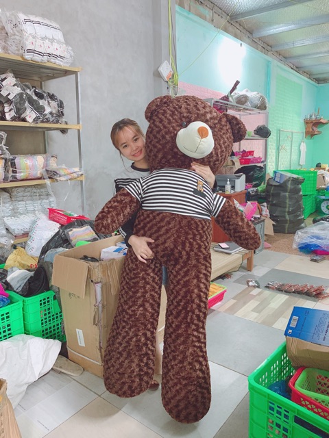 Gấu Teddy Cao Cấp  FREESHIP  Gấu Bông Teddy Khổ Vải 1M,1M2,1M5,1M7 Hàng VNXK Chất Đẹp