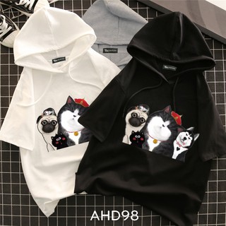 AHD98 Áo thun teen nam nữ HOODIE TAY LỠ CÓ NÓN hình mèo hoàng thượng và đồng bọn