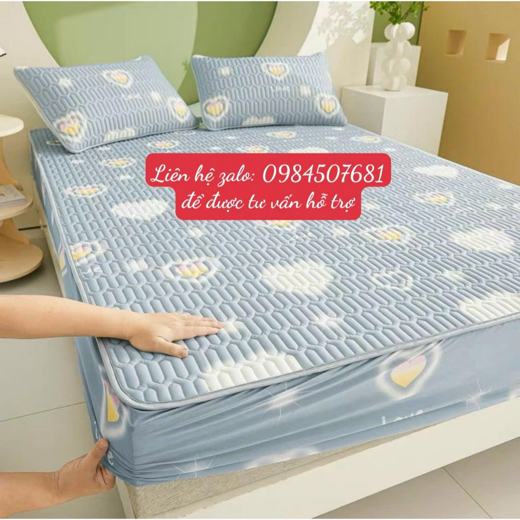 Chiếu điều hòa BO CHUN cao su non LATEX_ loại 1_ dành cho mùa hè,mang lại cảm giác mát mẻ êm