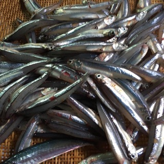 Mắm Cá Cơm Sông Hương 440g