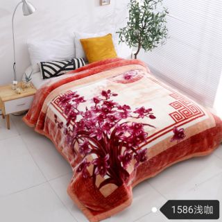 CHĂN ĐÔNG CAO CẤP HÀNG THÁI 2019