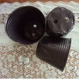 Bầu ươm cây các cỡ tính theo 1kg các cỡ
