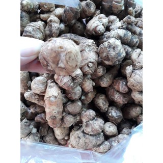 địa liền (sá kếng) 500g