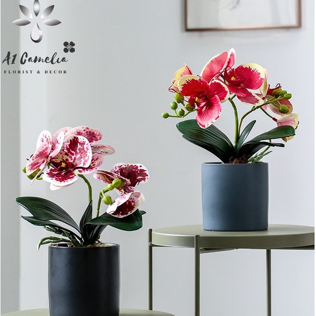 Hoa Giả - Hoa Lan Camelia Decor Cao Cấp +Có Sẵn Lọ Như Hình, Bình Gồm 2 Nhánh Chính, Chất Liệu Pu Cao Cấp Cực Giống Thật