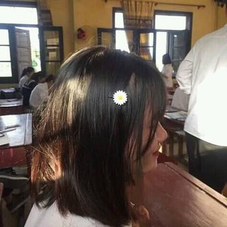 KẸP CÚC HỌA MI ĐỦ LOẠI