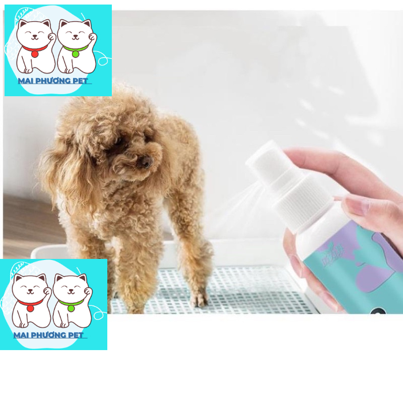 Hướng dẫn chó đi vệ sinh dạng xịt mẫu mới Bobo 120ml