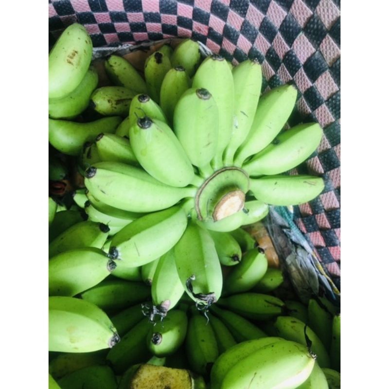 CHUỐI CAU.giao chuối còn sống.trái già no tròn.