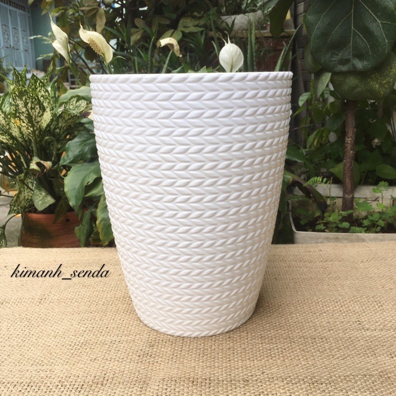 Chậu nhựa trắng cao cấp giả mây đk 22,5 x cao 29cm