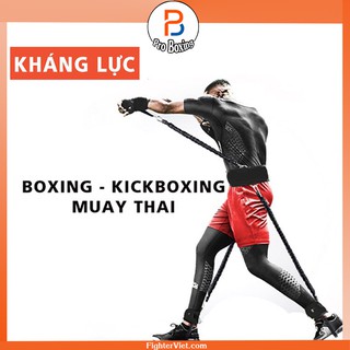 Dây kháng lực boxing dây đàn hồi tập gym kickboxing muay thái mẫu 2021