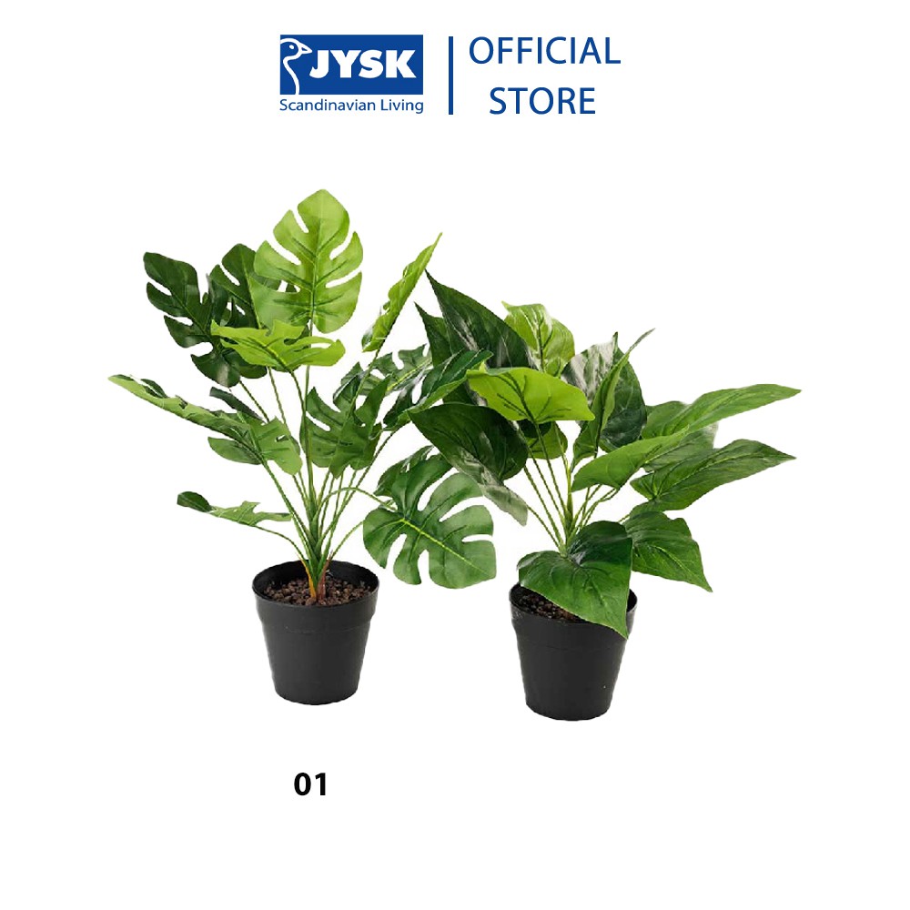 Cây trang trí | JYSK Thorulf | nhựa/polyester | H30cm