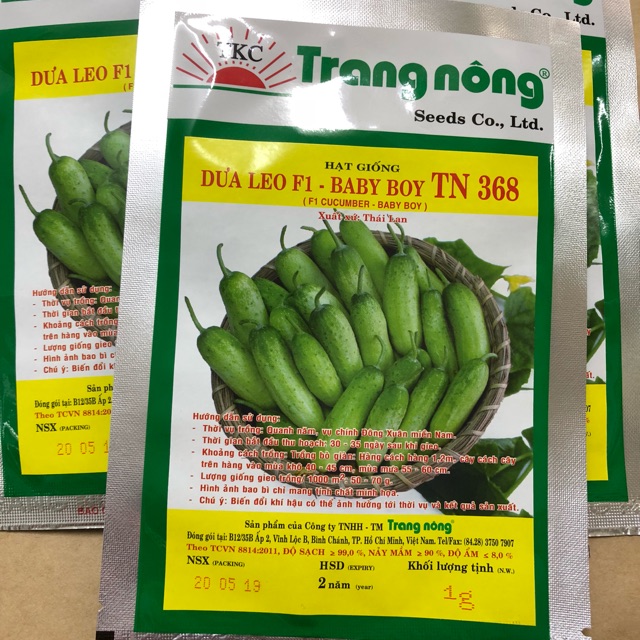 Dưa leo Baby (tự thụ phấn)