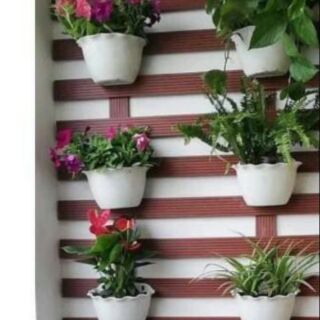 Bộ 10 chậu ốp tường siêu hót