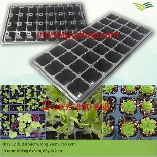 combo 50 khay nhựa ươm cây 32 lỗ
