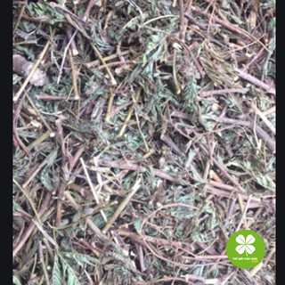 Cây xấu hổ (1kg khô) - TD145