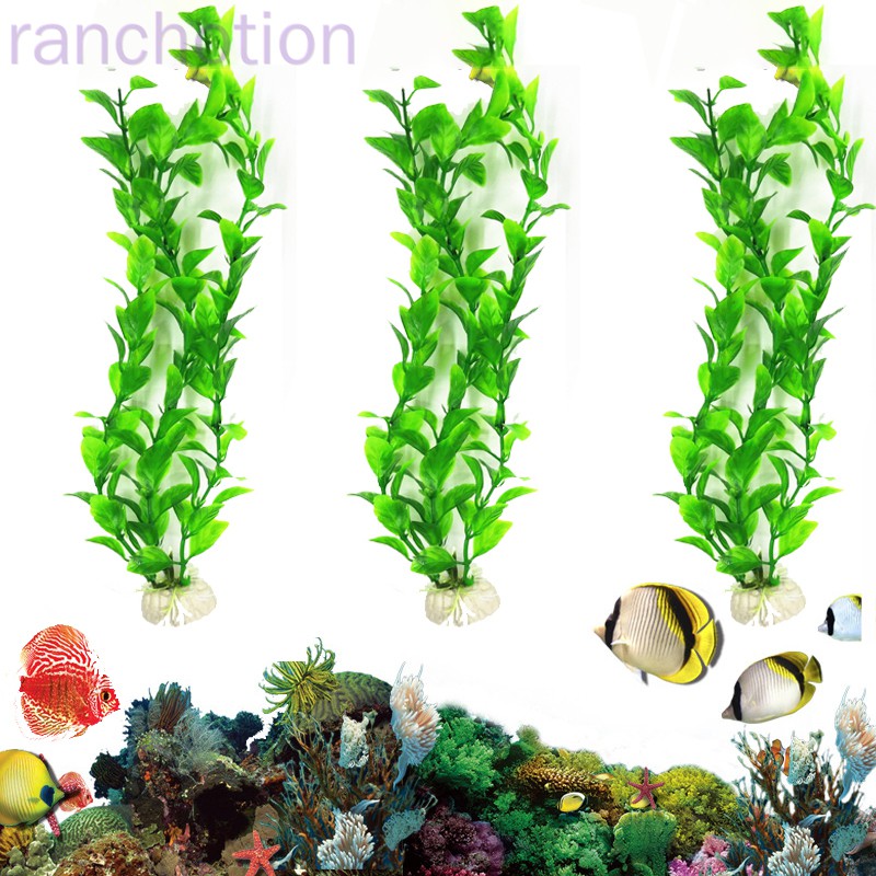 Cây Rong Biển Nhân Tạo Trang Trí Bể Cá Đẹp Mắt