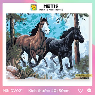 Tranh tô màu số hoá METIS Tranh Động Vật Song Mã DV021 - Hàng Chính Hãng