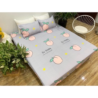Bộ chăn ga gối Poly mẫu đào tím hothit