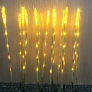 Bộ Led Bó Lúa Mạch 10 Sợi Vàng Siêu Đẹp